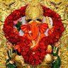 Profilbild von RAHUL TARAK