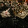 Константин profil fotoğrafı