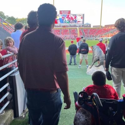 tom livolsi's profile picture