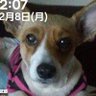 タケオ profil fotoğrafı