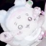さくらんぼ's profile picture
