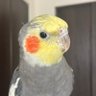 Фото профиля ただの一般人