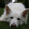 luna profil fotoğrafı