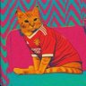 Nostradaus's profile picture