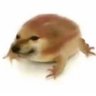 Profilbild von Errw