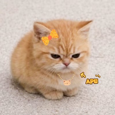 ʜɪᴘᴅʏྀི⋆𖦹's profile picture