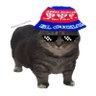 Profilbild von El de las minicargas