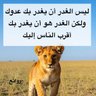 اليافعي من يافع 的头像