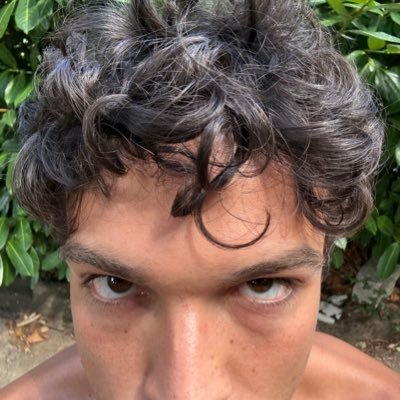 Leogassofficial's profile picture