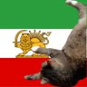 shahrzad 的头像