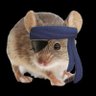 Big Squeak's profile picture