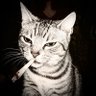«★» profil fotoğrafı