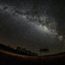 Profilbild von Cosmos do Amor