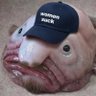 Profilbild von Blackpilled Blobfish