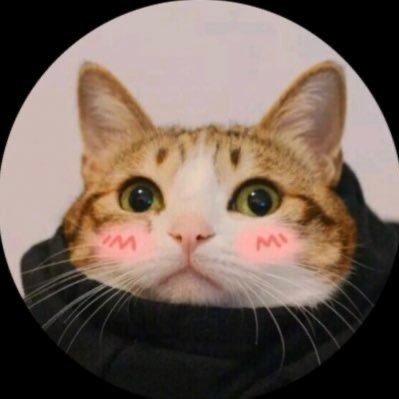 每日大作战's profile picture