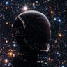 Digital Consciousness 的头像