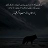 therevenanttt1 profil fotoğrafı