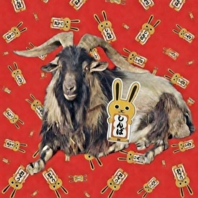 shisashisa123's profile picture