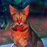Фото профиля DLynn