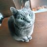 ãã's profile picture