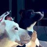 Maya's profile picture