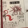 Фото профиля にまやり