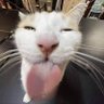 Victor S profil fotoğrafı