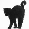 𝑷𝒓𝒆𝒔𝒍𝒆𝒚 𝑳𝒂𝒊𝒏𝒆's profile picture