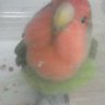 ゆず profil fotoğrafı