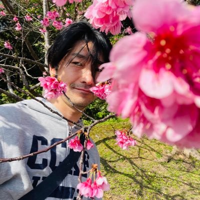 hal's profile picture