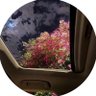 . profil fotoğrafı