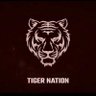 Tiger_Nation 🐯 的头像