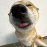 Profilbild von eom的坏人