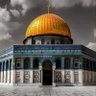 Profilbild von Abdou Hammou