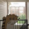 Snag🤍 profil fotoğrafı