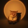 FelicityTK's profile picture