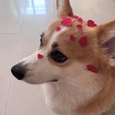 hi_ ᖰ🐶ᖳ🩵's profile picture