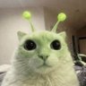 Фото профиля alien