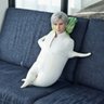 イケメンニンジン🥕 profil fotoğrafı