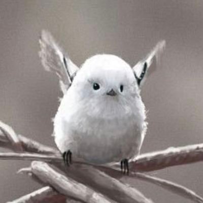 가슴반달곰🌙's profile picture