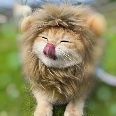 𝓑𝓑𝓛𝒾𝑜𝓃🦁's profile picture