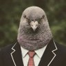鳩颶風's profile picture