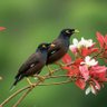Lovebirds 的头像