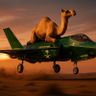 Profilbild von البلوي البلوي