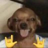 KERISSS's profile picture