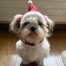 ちーこま 的头像