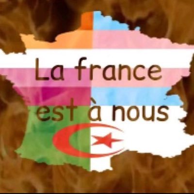MafiaTransTwi's profile picture