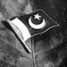 Usman Khan's profile picture