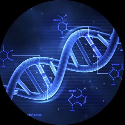 BioLifex's profile picture