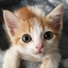 moumouchette profil fotoğrafı